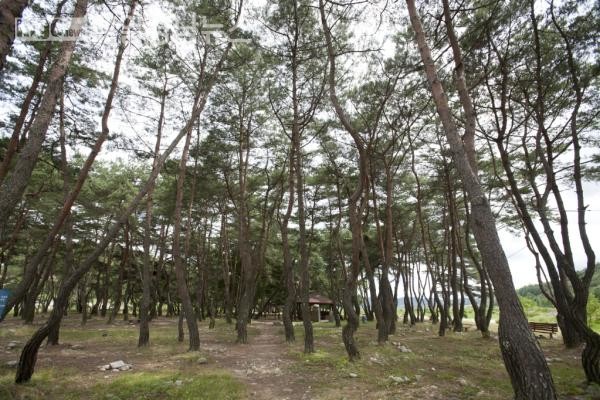 가을이 온다, 일상에 지친 몸과 마음을 치유할 거창 숲 여행지